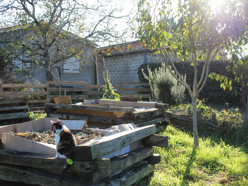SEMAINE DE LA BIODIVERSITÉ - Happy Vers / 800x600