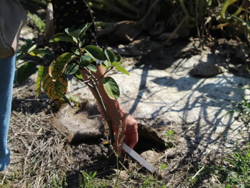Fête de la Biodiversité - Terres d'Oiseaux - 5/04/2026