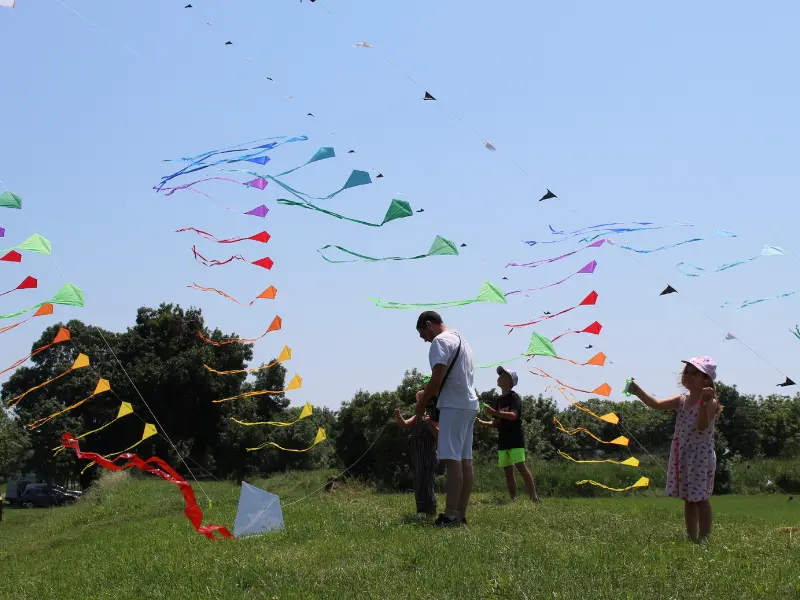 Fête du Vent - Terres d'Oiseaux