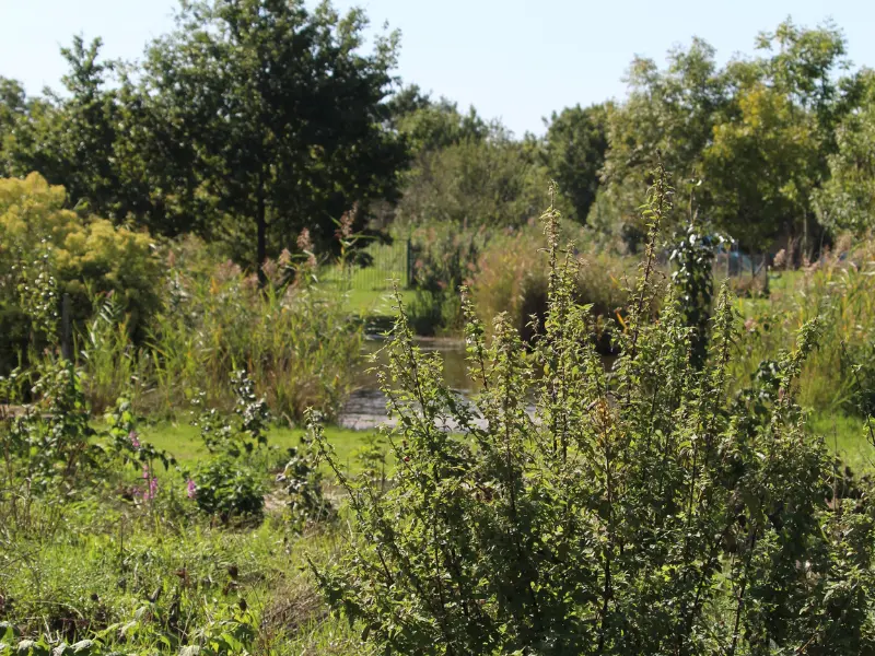 Visite du jardin forêt - 800x600 TERRES D'OISEAUX