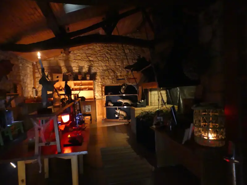 Activité Terres d'Oiseaux - Grand jeu d'halloween - 800x600