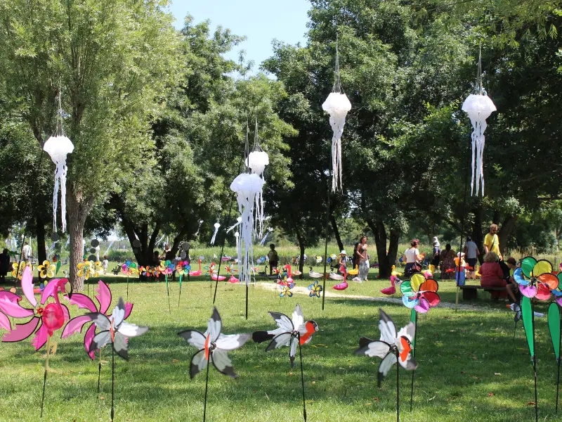 Fête du Vent - Terres d'Oiseaux