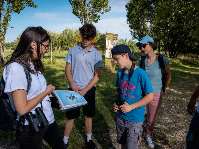 Initiation à l'ornithologie à Terres d'Oiseaux - 800x600