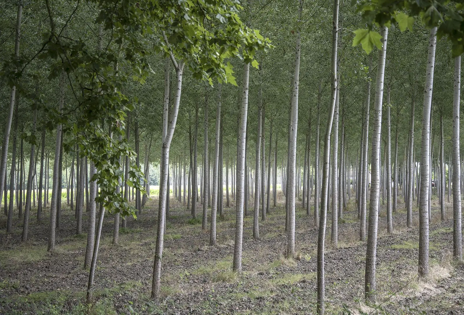 9-13_Imagine ta forme des lieux