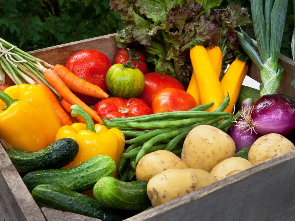 Marché légumes