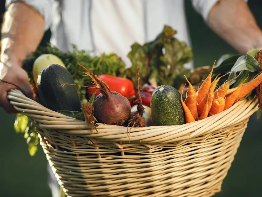 Marché légumes