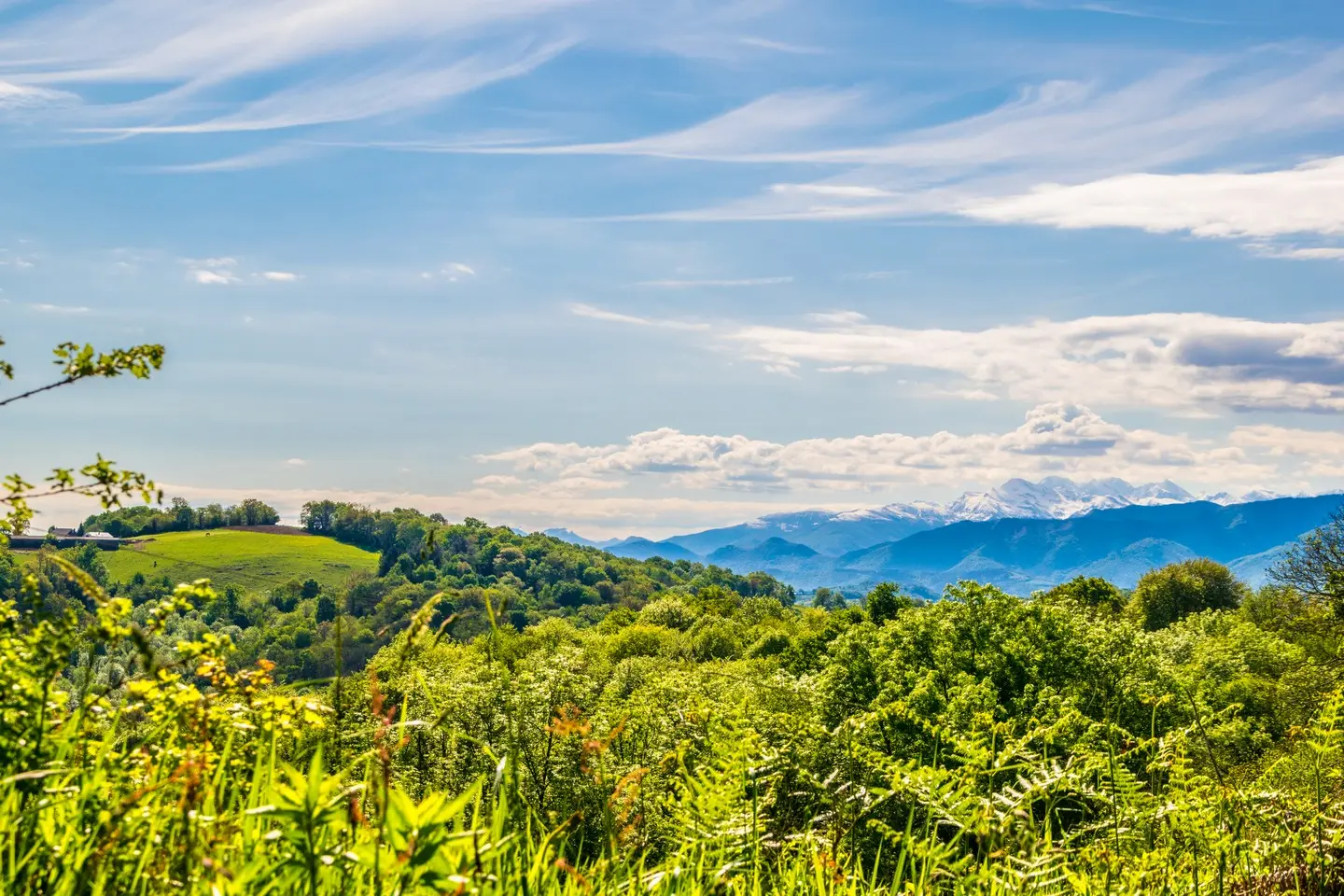 Pyrénées Bosdarros