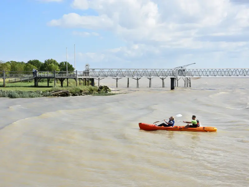 Activité Terres d'Oiseaux - KAYAK sur l'Estuaire - 800x600