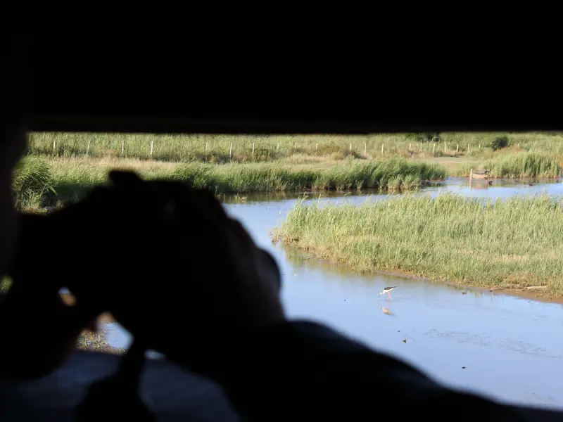 Terres d'Oiseaux