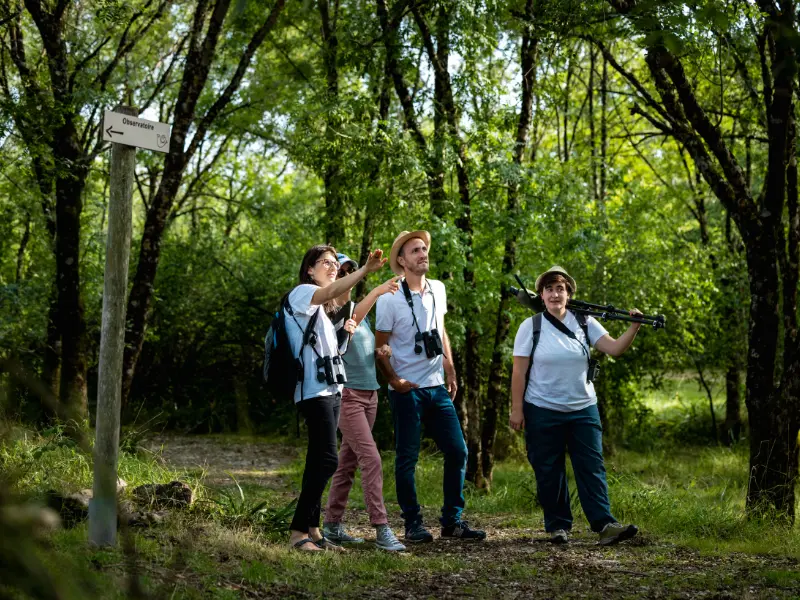Initiation à l'ornithologie à Terres d'Oiseaux - 800x600