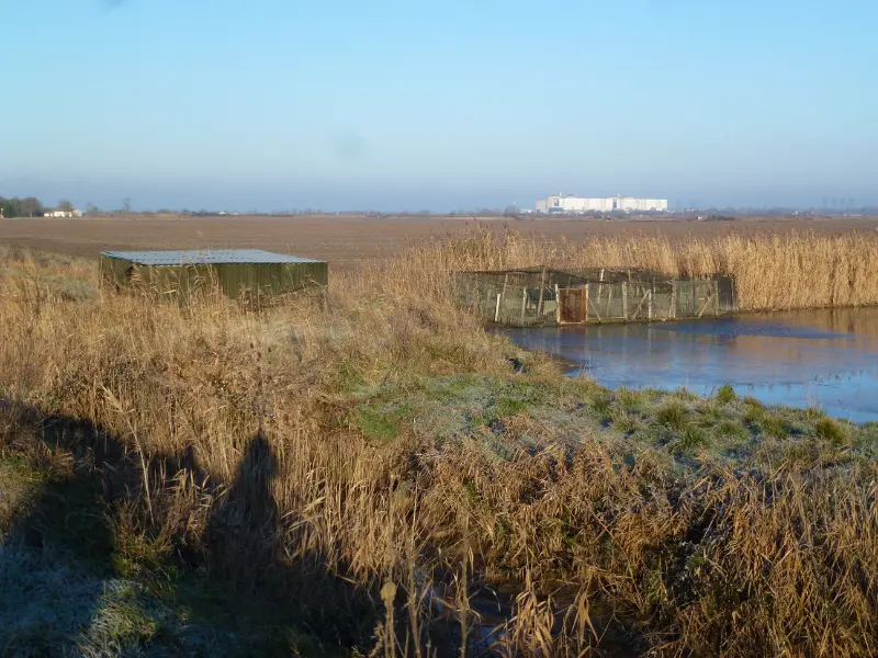 SEMAINE DE LA BIODIVERSITÉ - Tonne / 800x600