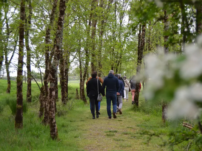 Visite guidée de Terres d’Oiseaux avec Jean Pierre BAUDET - 800x600