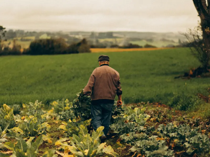 SEMAINE DE LA BIODIVERSITÉ - Happy Vers / 800x600