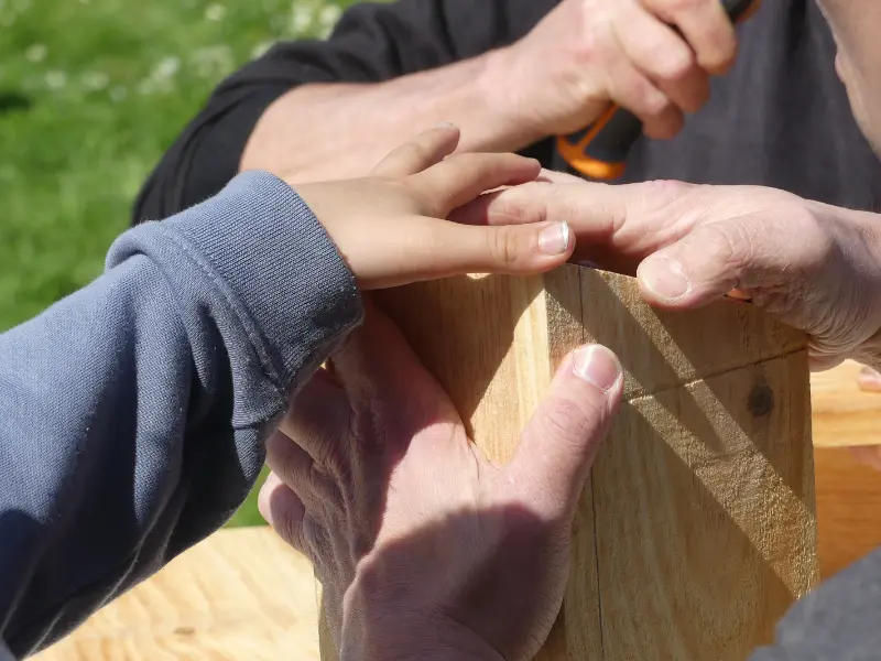 Construction d'un nichoir 800x600