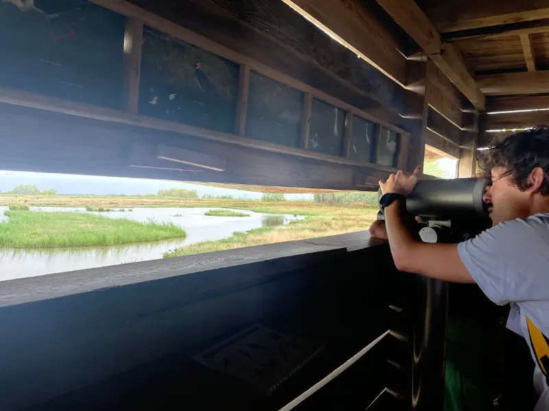 Sortie Calèche à Terres d'Oiseaux - 800x600