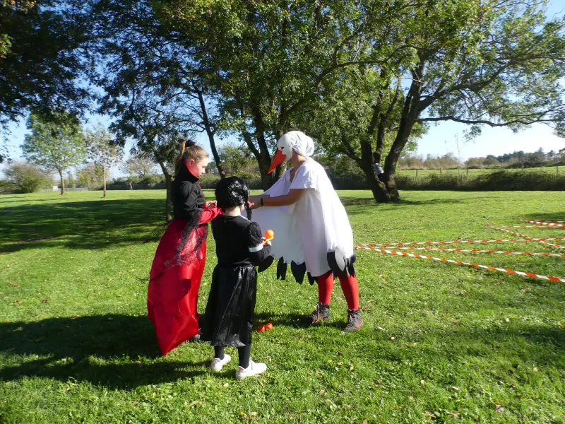 Activité Terres d'Oiseaux - Grand jeu d'halloween - 800x600