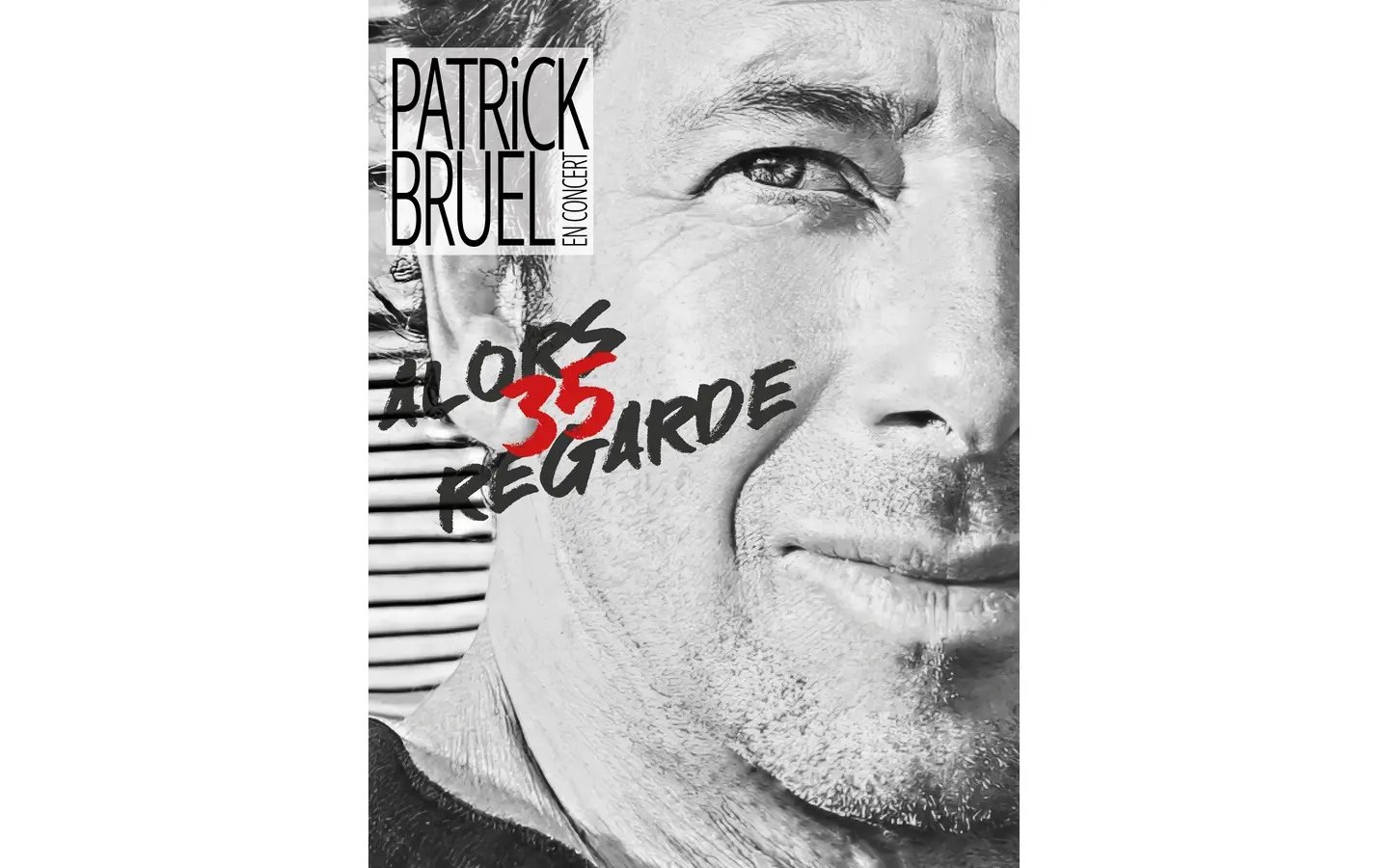 Concert de Patrick Bruel