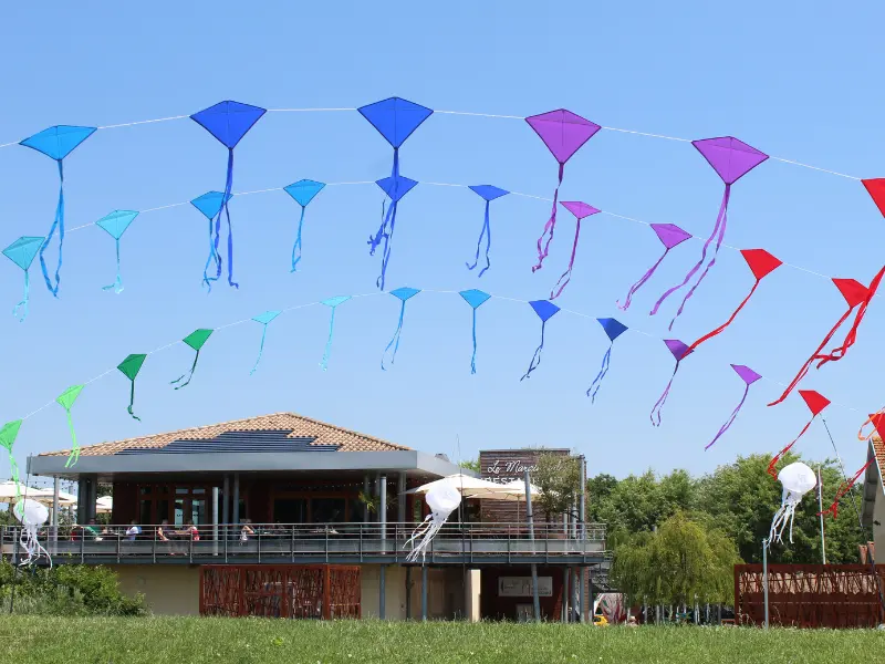 Fête du Vent - Terres d'Oiseaux