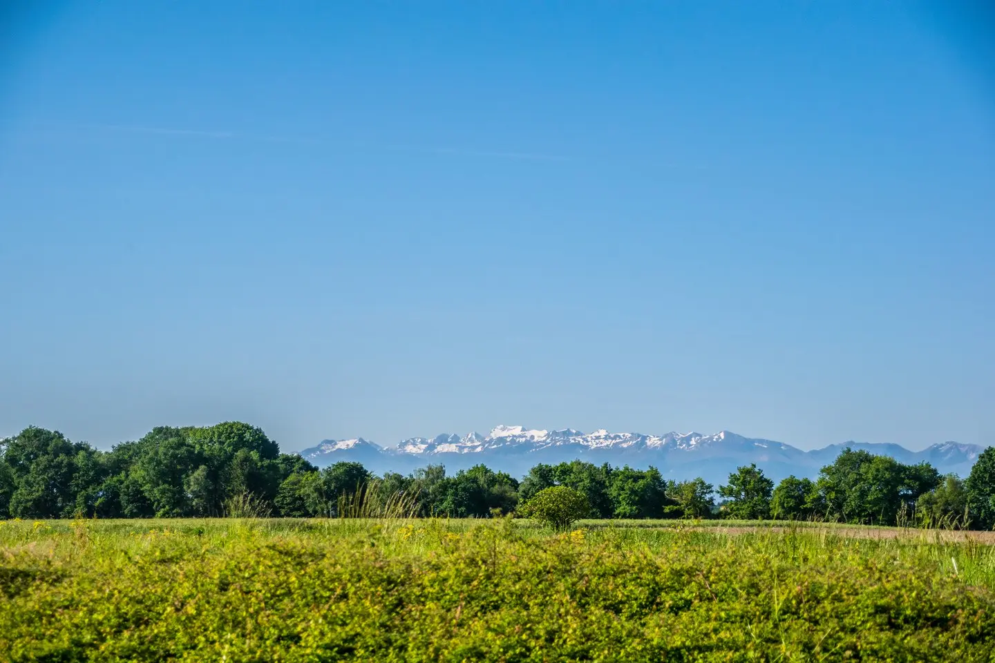 Uzein - vue Pyrénées