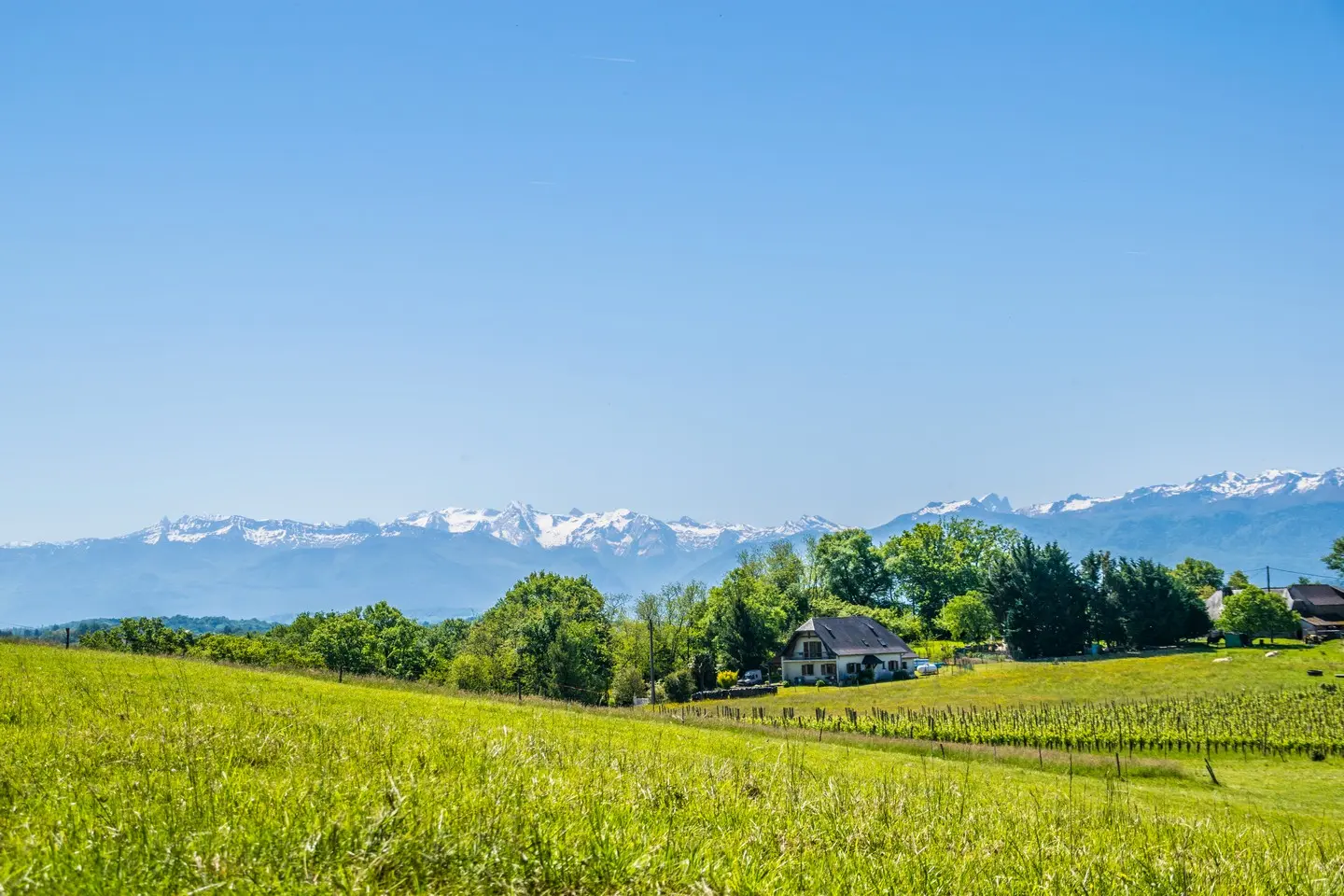 Le cap d'Arrandes - Arbus - Vue pyrénées 1