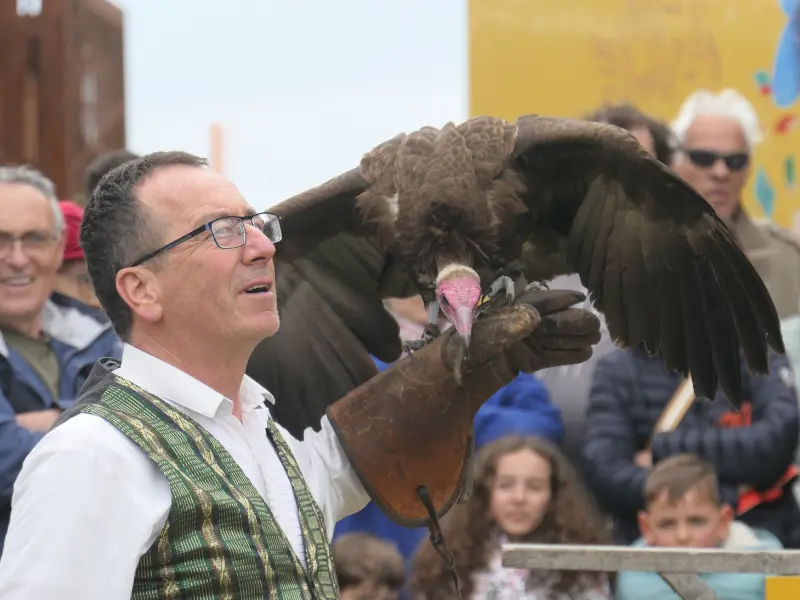 Fête des rapaces