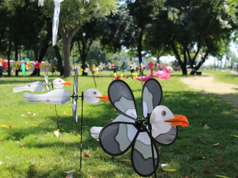 Fête du Vent - Terres d'Oiseaux