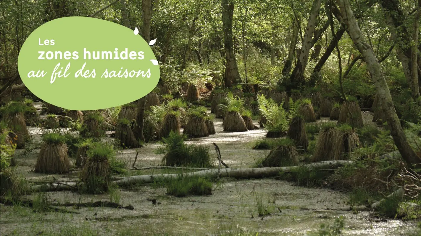 15.04---Vendays-Montalivet---9h-11h30