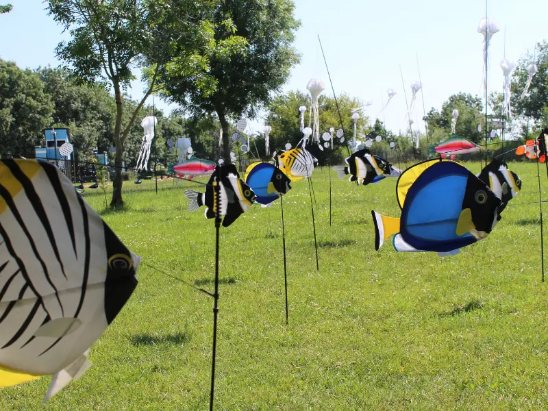 Fête du Vent - Terres d'Oiseaux