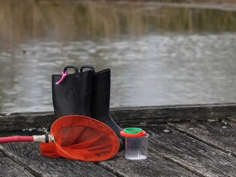 Decouverte de la mare