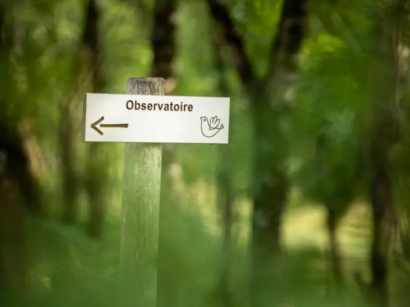 Initiation à l'ornithologie à Terres d'Oiseaux - 800x600