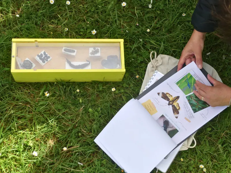 Escape game nature - TERRES D'OISEAUX - Braud-et-Saint-Louis - 800x600
