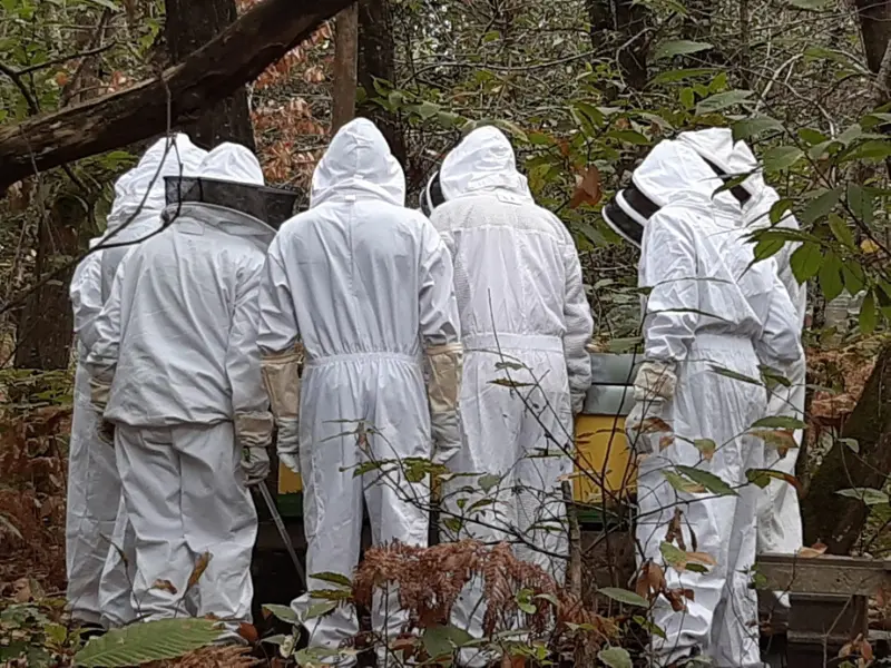 SEMAINE DE LA BIODIVERSITÉ - Visite des rûches - 800x600