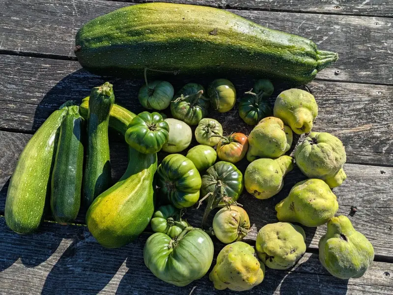 SEMAINE DE LA BIODIVERSITE / 4L CAFE / 800X600