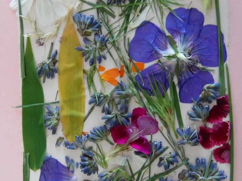 SEMAINE DE LA BIODIVERSITE / PRESSE A FLEURS / 800X600