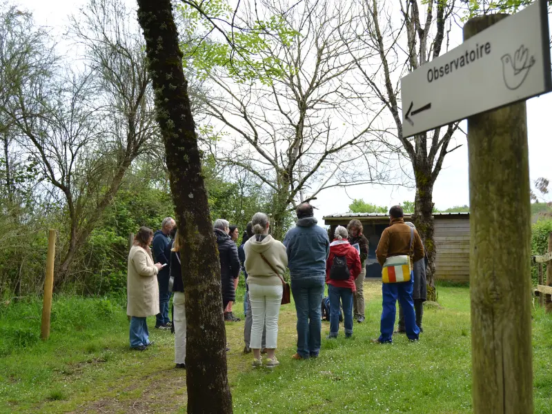 Visite guidée de Terres d’Oiseaux avec Jean Pierre BAUDET - 800x600