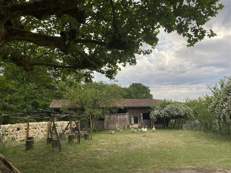 2025_Bergerie (5)