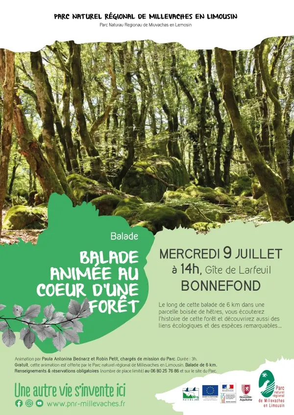 20250709_Natura_BONNEFOND_Foret_web