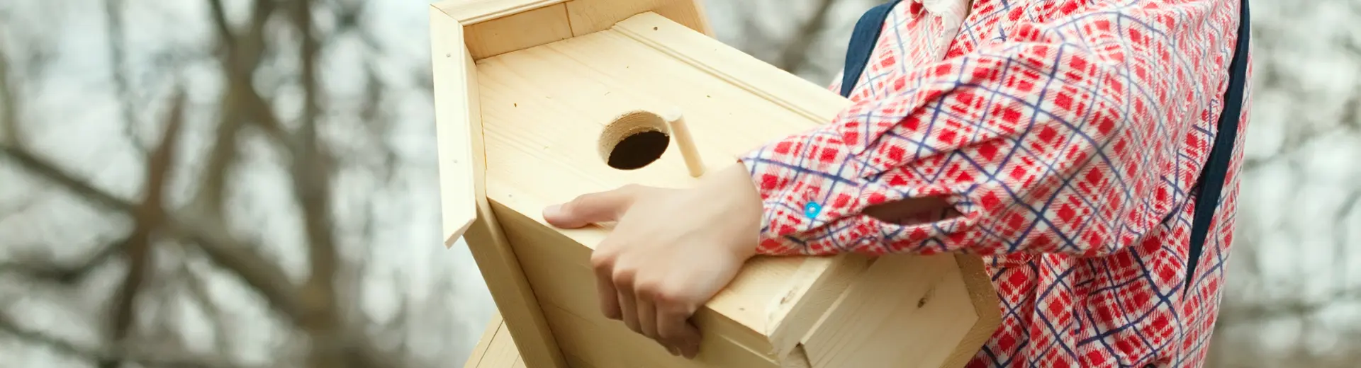Construction nichoir à Terres d'Oiseaux