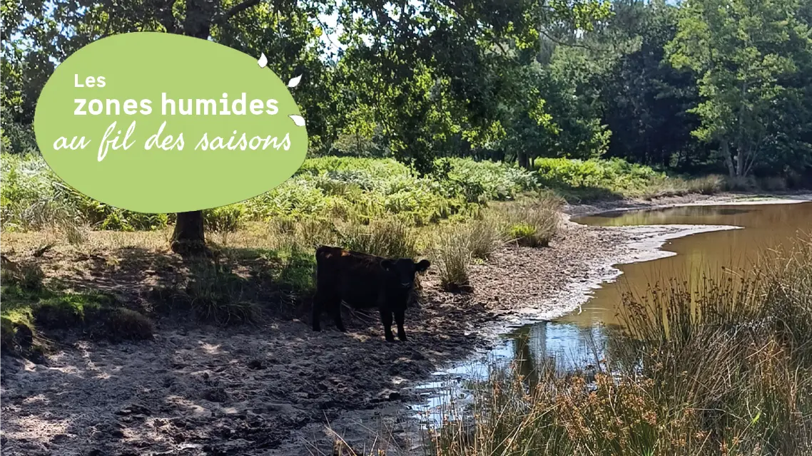 25.02---Vendays---14h-16h