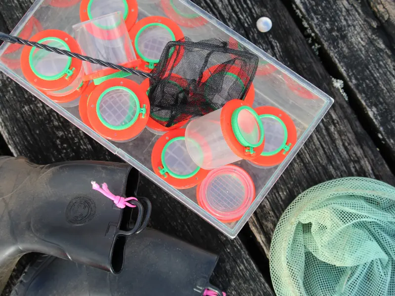 Decouverte de la mare