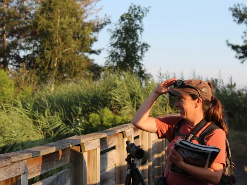 Terres d'Oiseaux