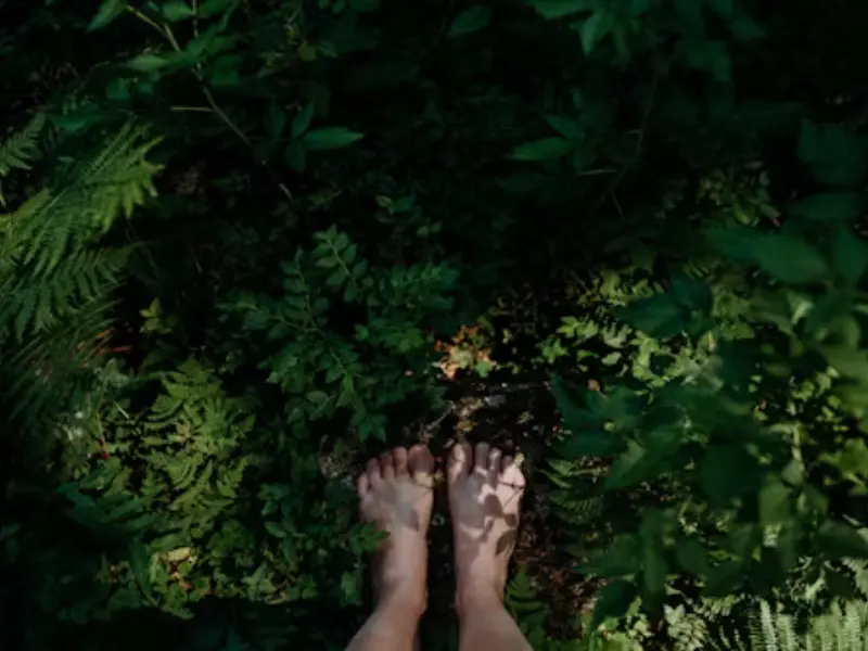 sirtaqui 800*600 - 3