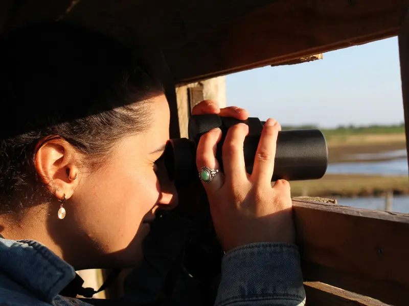 Visite guidée de Terres d’Oiseaux avec Jean Pierre BAUDET - 800x600