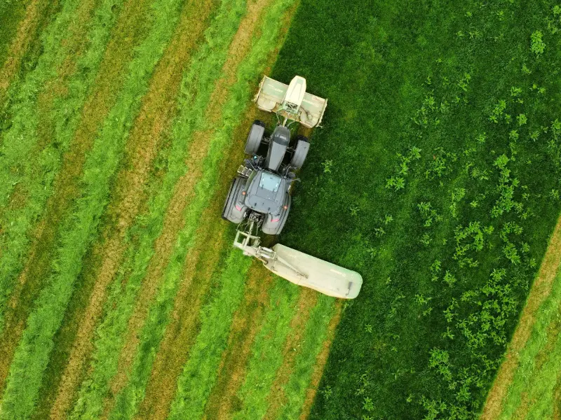 SEMAINE DE LA BIODIVERSITÉ - Happy Vers / 800x600