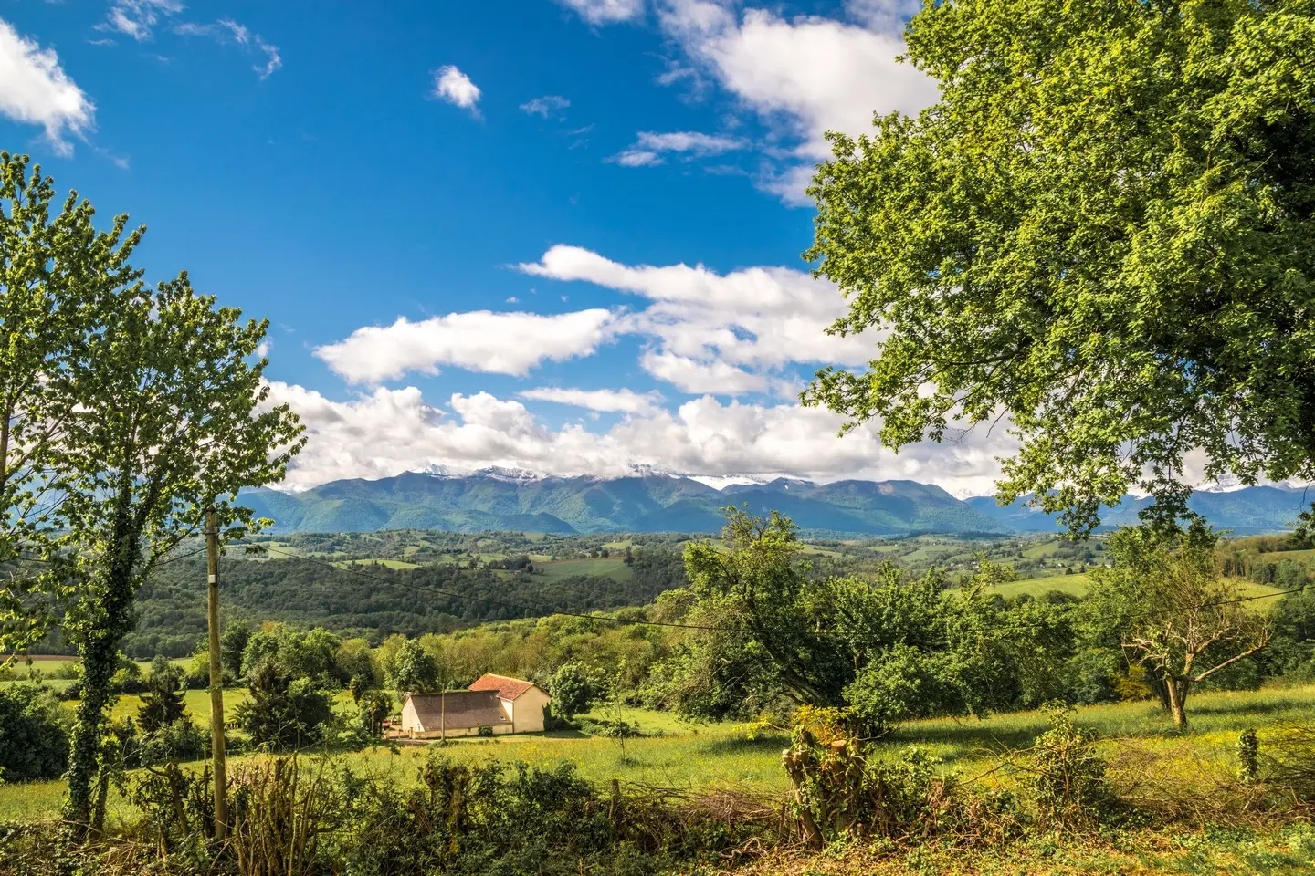 Pyrénées Bosdarros