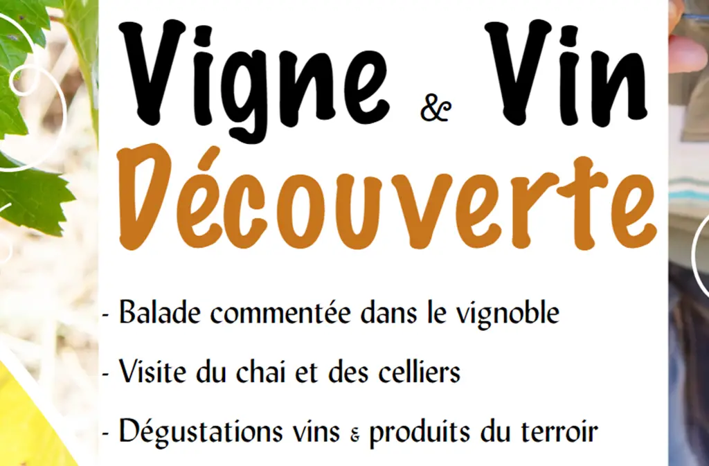 visite commentee