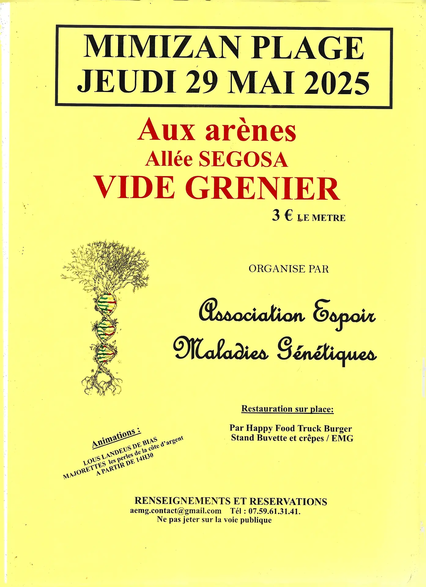 AFIICHE VIDE GRENIERS EMG