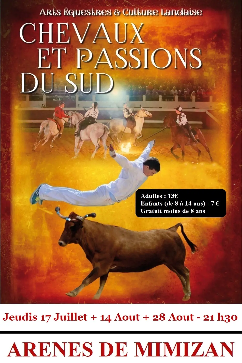 Affiche chevaux passions