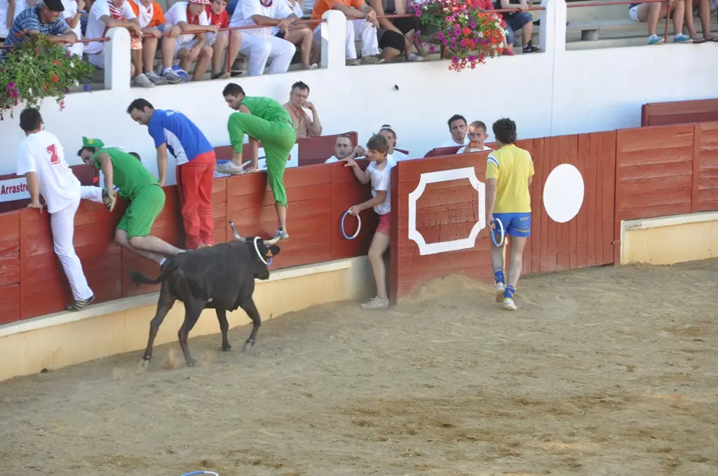 Arènes St Sever, jeux