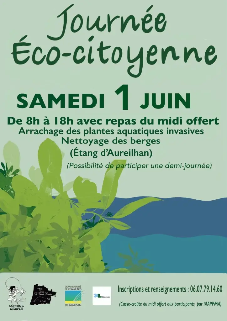 Arrachage_plantes_01062024